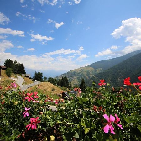 Bleusydyllique Bed & Breakfast Nendaz Ngoại thất bức ảnh