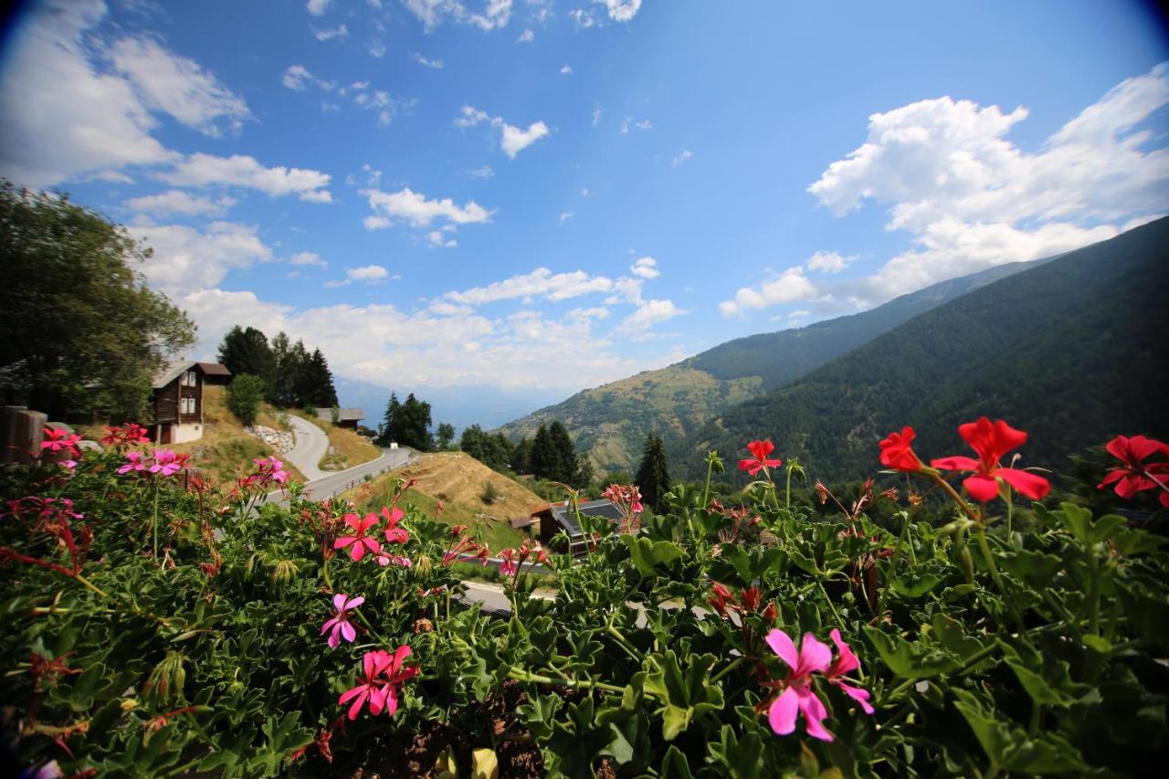 Bleusydyllique Bed & Breakfast Nendaz Ngoại thất bức ảnh